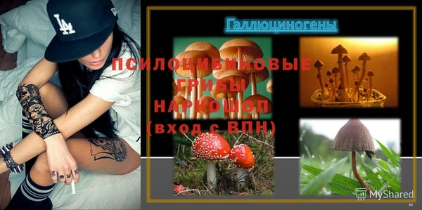 МДПВ Балахна
