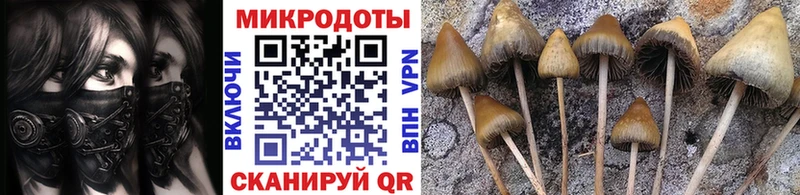 Псилоцибиновые грибы мухоморы Белёв